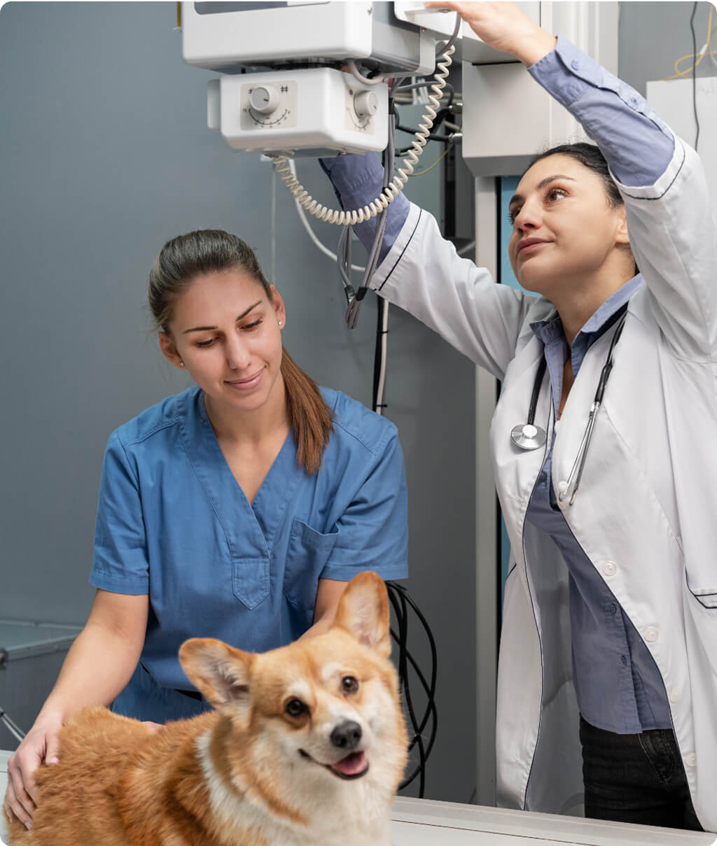 Az ellátás folyamata